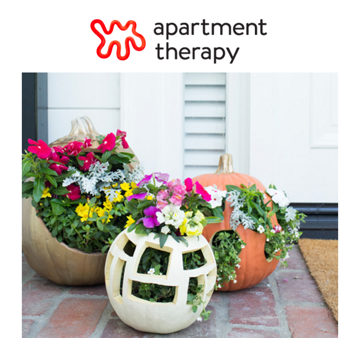 apartment-therapy-casey-brodley.jpg