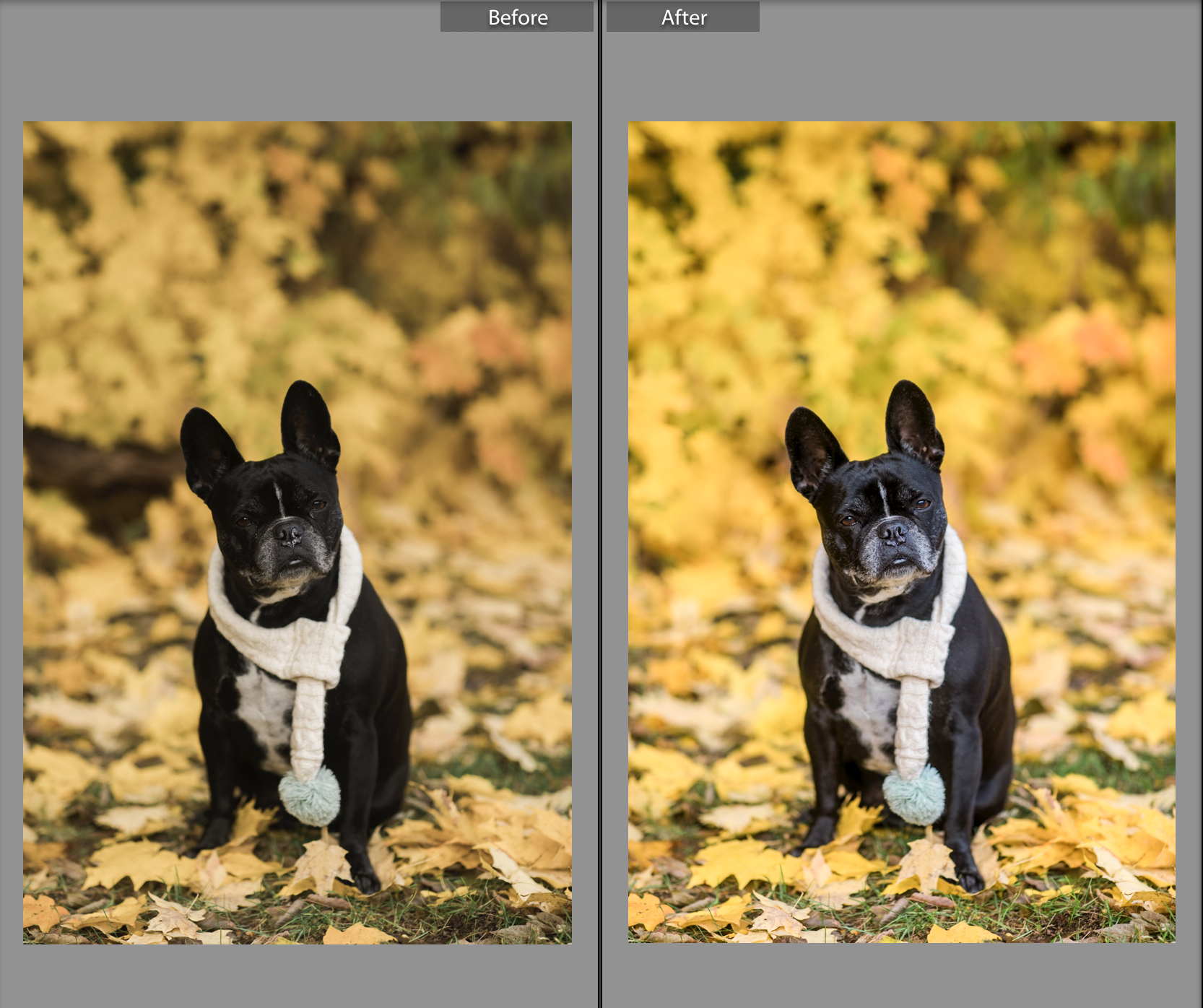 raw-file-casey-brodley-1.png