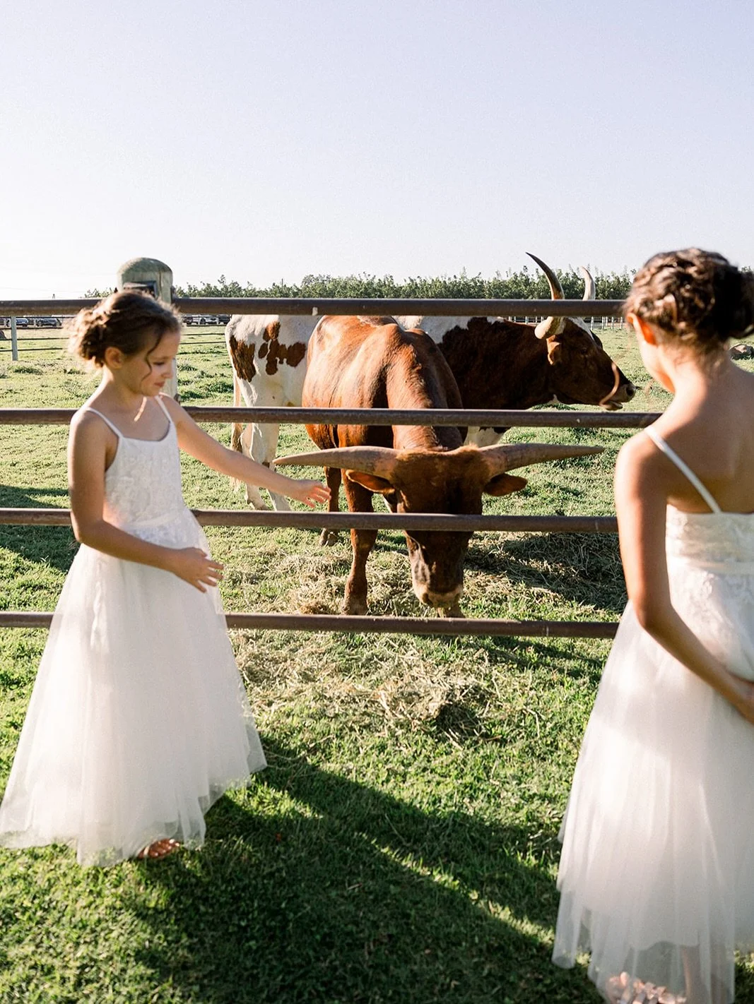 Catching a few sweet moments in between the big ones from a favorite ranch wedding day. These are the photos that always bring me back to the exact moment, temperature and feeling from the day 🤍
&bull;
&bull;
&bull;
&bull;
#SanFranciscoWeddingPhotog