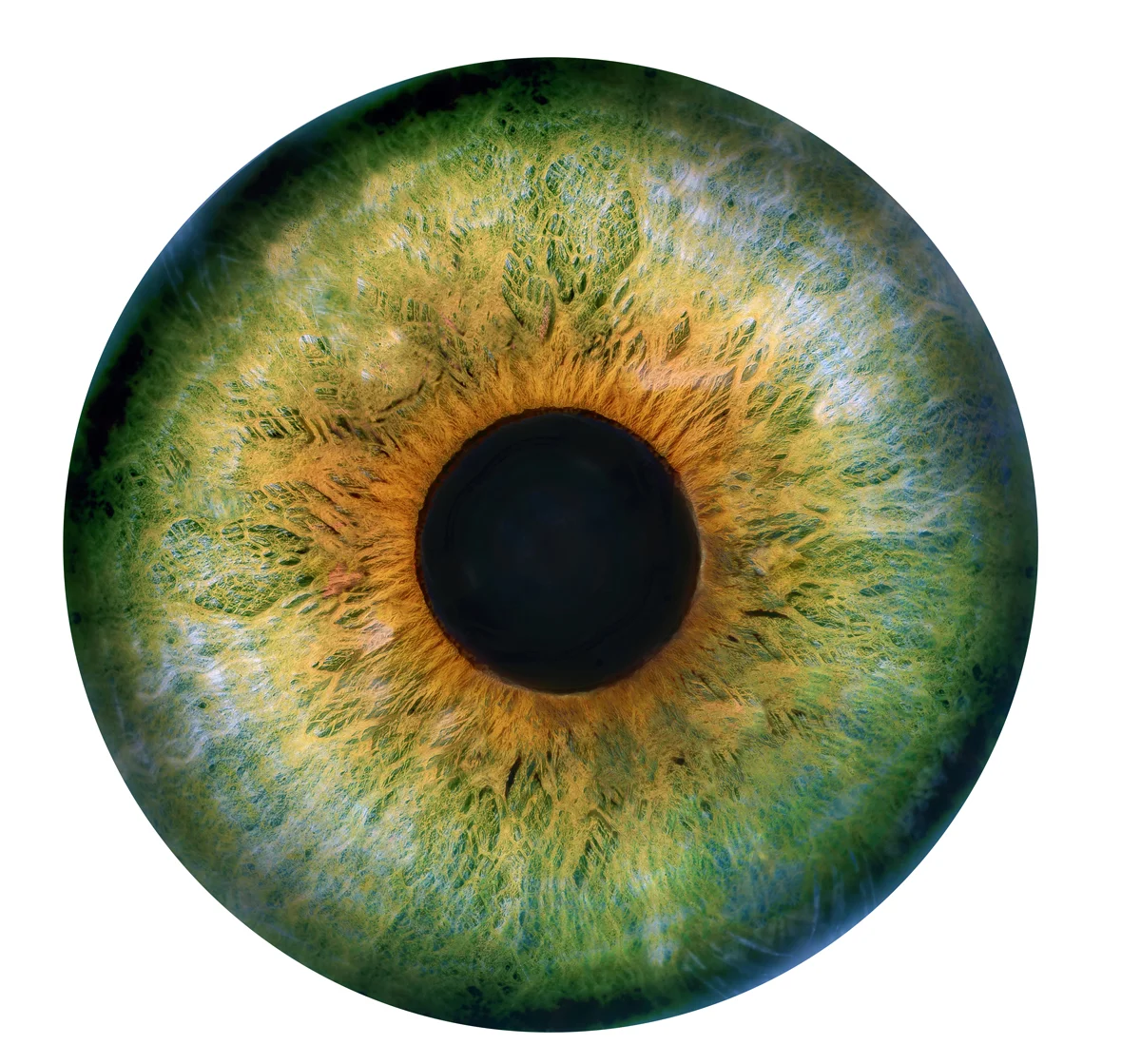 TPDA-Entry Proposal-ST.PETER EYES.jpg