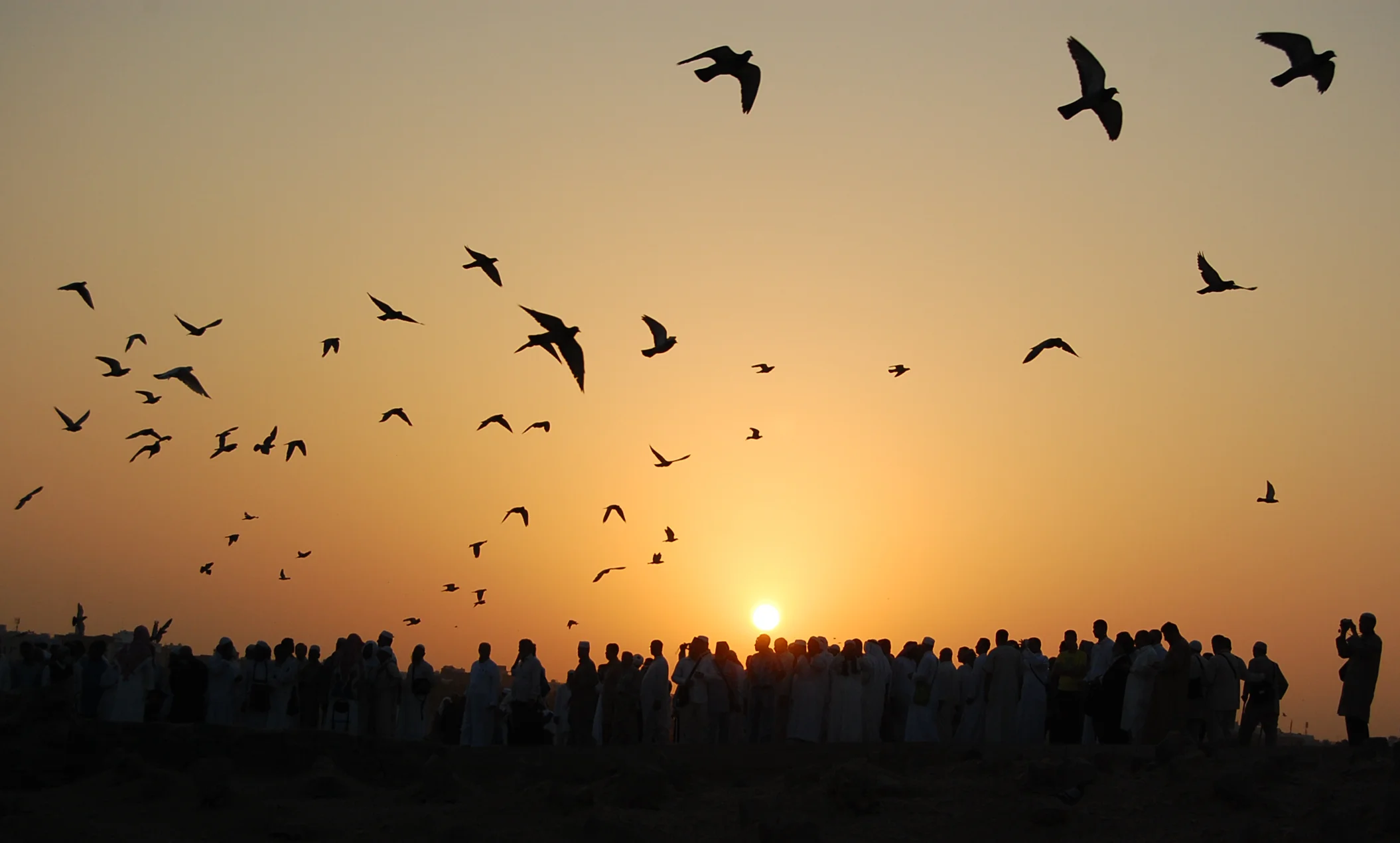 Medina, Saudi Arabia 2011