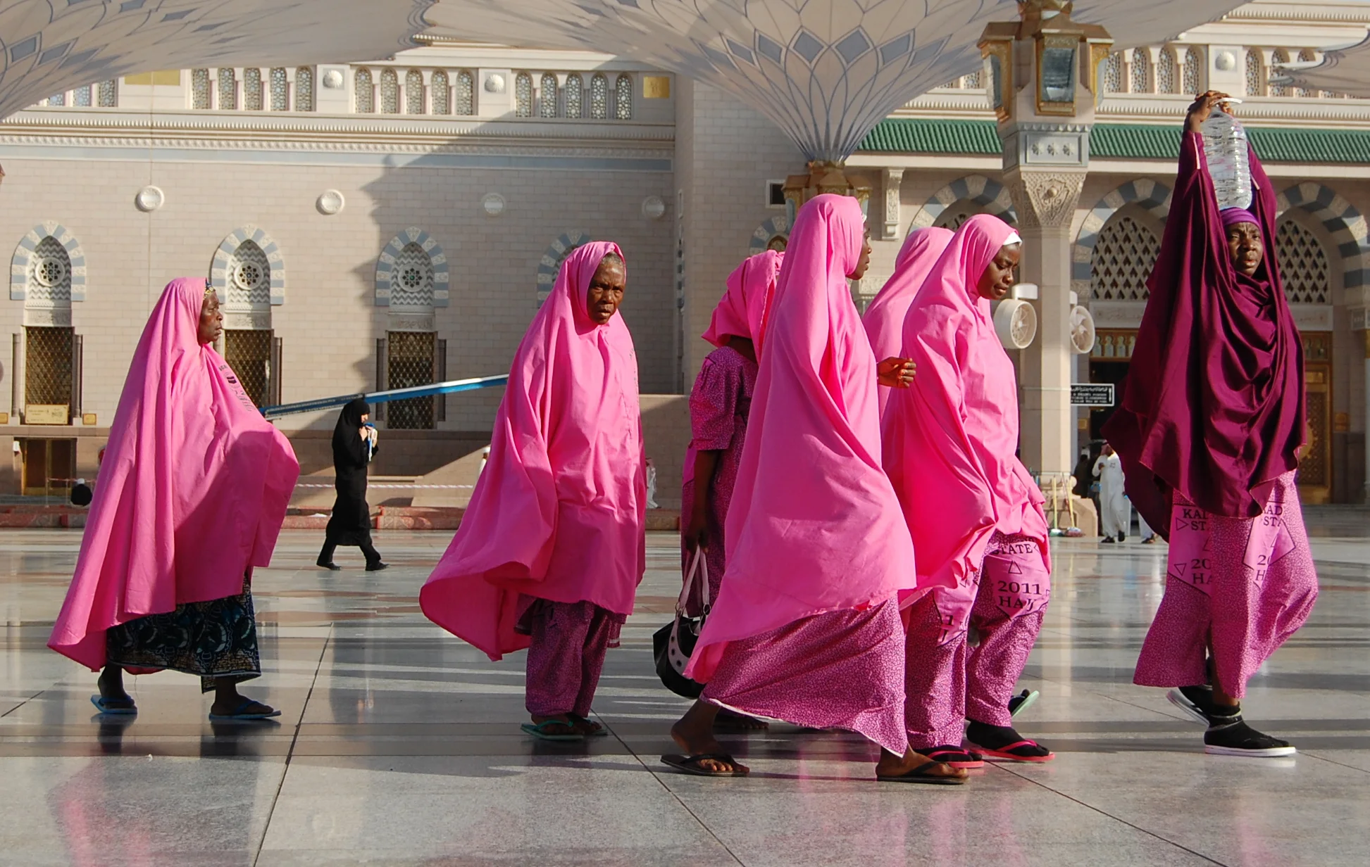 Pink Ladies