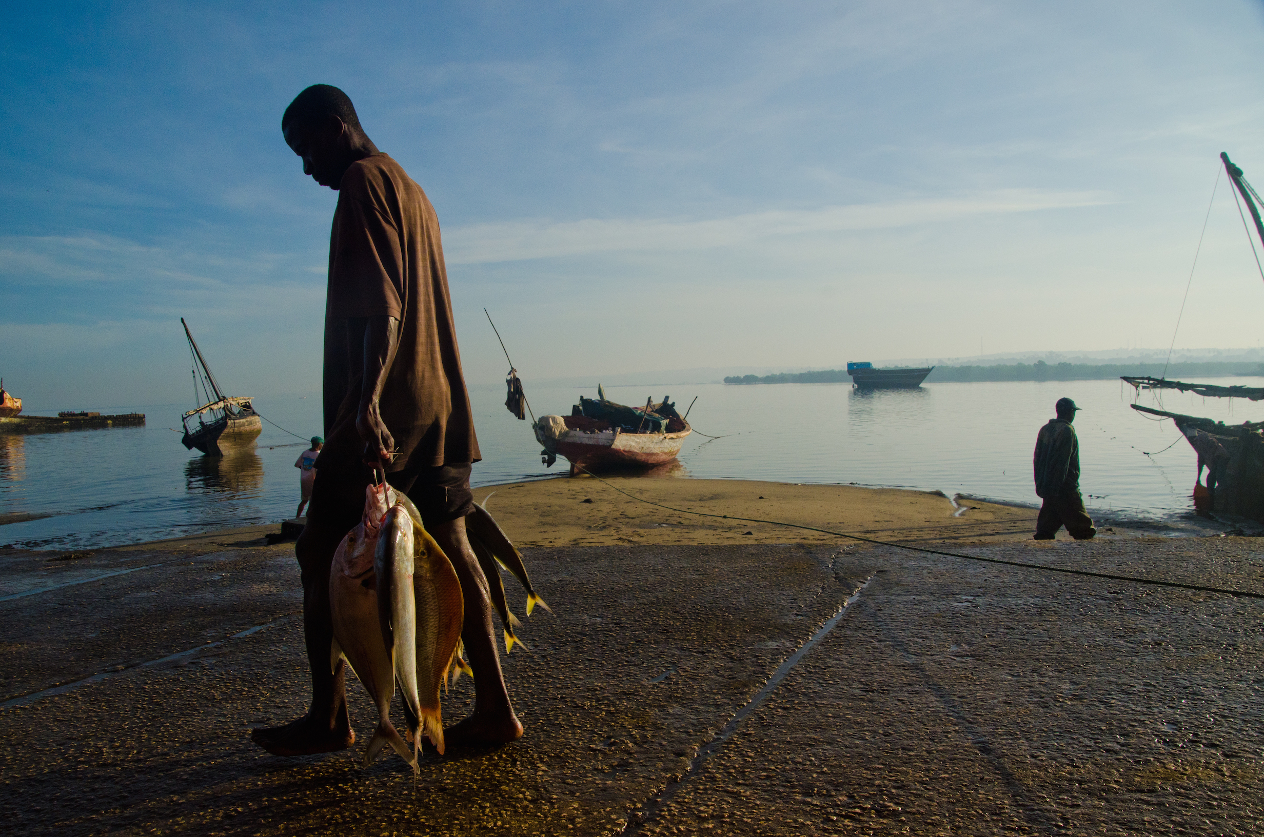 Morning Catch Stone Town, Zanzibar 2015