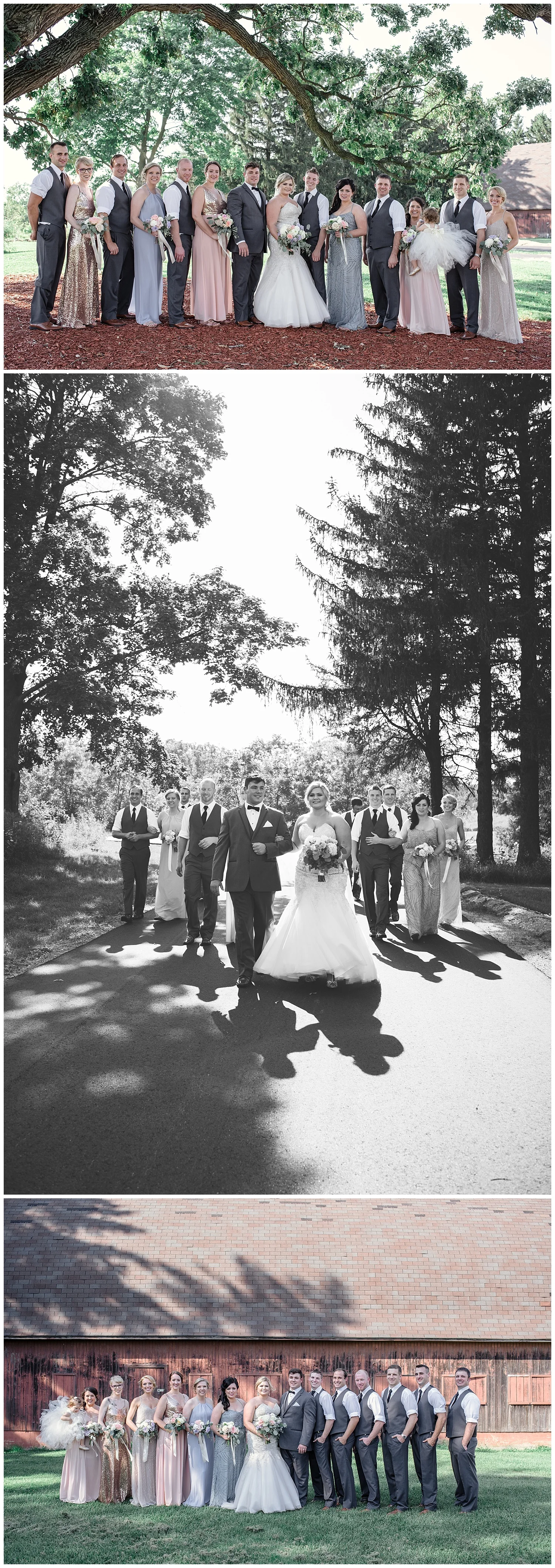 barn wisconsin wedding, wisconsin wedding, summer wedding, madison wedding, madison summer wedding, traveling photographer, pink and purple wedding, madison wedding photographer, colorado wedding photographer