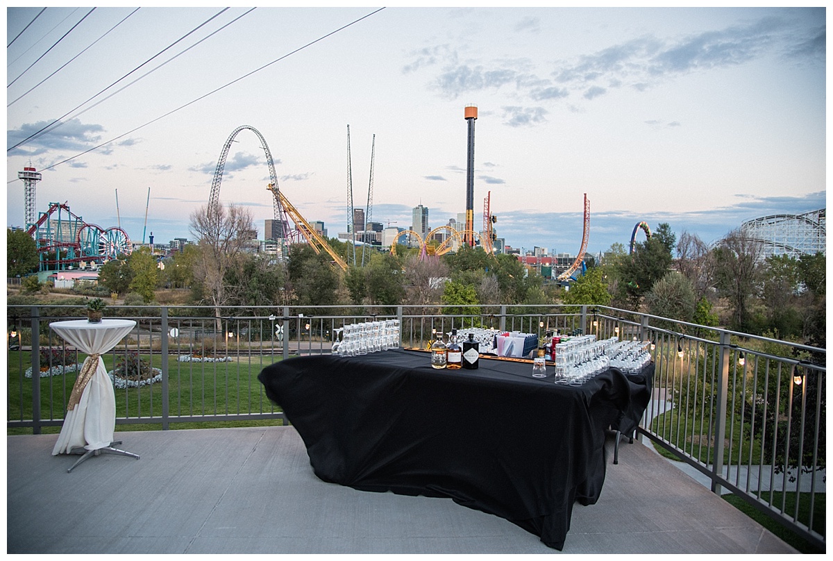 Denver Childrens Museum Wedding, Downtown Denver Wedding, Downtown Denver Wedding Photographer, Denver Wedding Photographer, Colorado Wedding Photographer