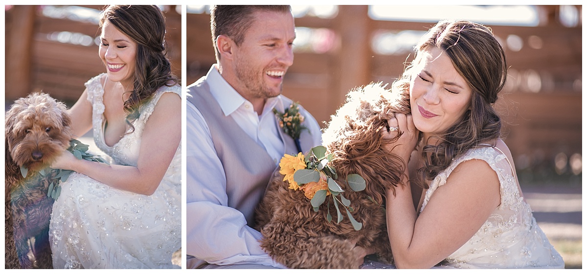 bride and groom and dog, Rocky mountain adventure elopement, colorado wedding photographer, denver wedding photographer, denver elopement photographer, colorado elopement photographer, best wedding photographer colorado, best wedding photographer denver