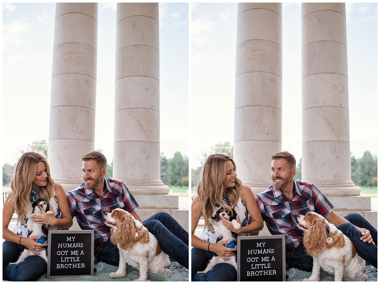 Denver Photographer, Colorado Photographer, Denver Family Photographer, Colorado Family Photographer, Cheesman Park, New Puppy, Denver Puppy, Colorado Wedding Photographer