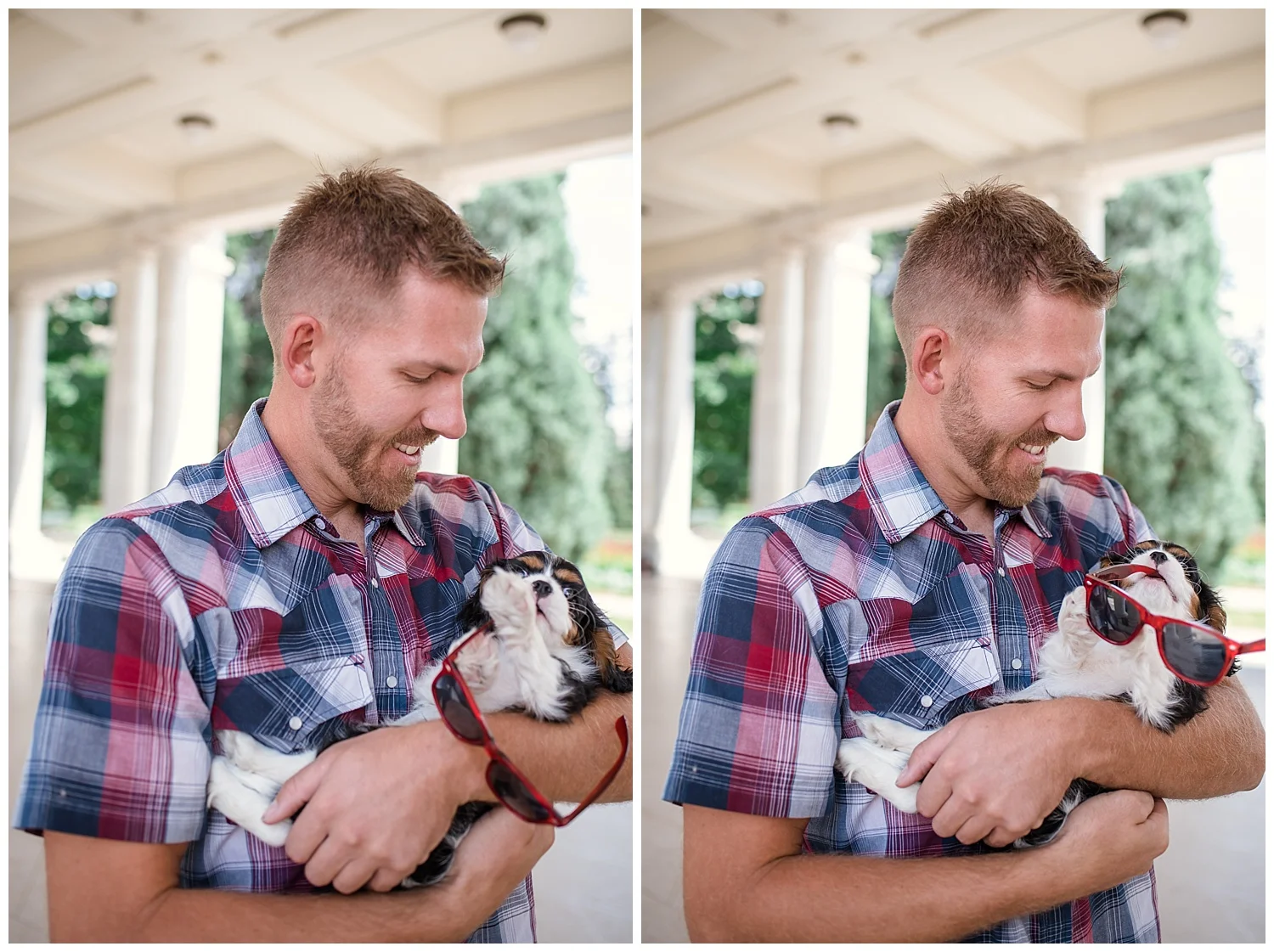 Denver Photographer, Colorado Photographer, Denver Family Photographer, Colorado Family Photographer, Cheesman Park, New Puppy, Denver Puppy, Colorado Wedding Photographer