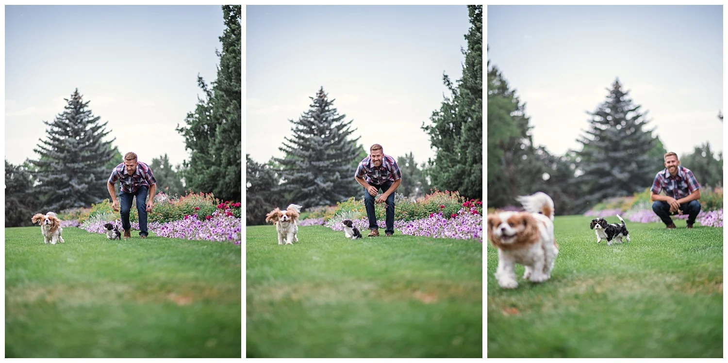 Denver Photographer, Colorado Photographer, Denver Family Photographer, Colorado Family Photographer, Cheesman Park, New Puppy, Denver Puppy, Colorado Wedding Photographer