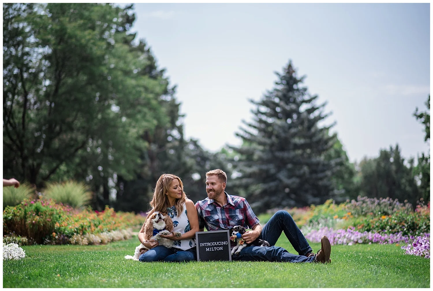 Denver Photographer, Colorado Photographer, Denver Family Photographer, Colorado Family Photographer, Cheesman Park, New Puppy, Denver Puppy, Colorado Wedding Photographer, Colorado Elopement Photographer, Denver Elopement Photographer, Colorado Engagement photographer, Denver Engagement Photographer