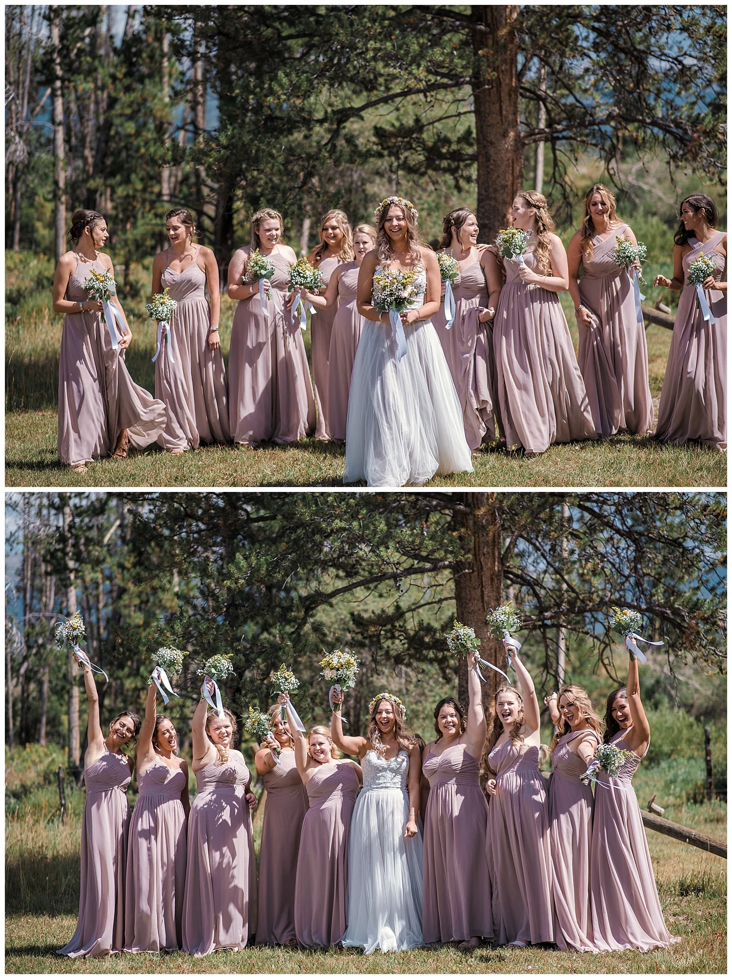 wedding party portraits at B Lazy 2 Ranch, Ranch Wedding in Colorado, Colorado Wedding Photographer, Denver Wedding Photographer, Intimate Colorado Wedding Photographer, Rocky Mountain Wedding Photographer, Winter Park Wedding Photographer