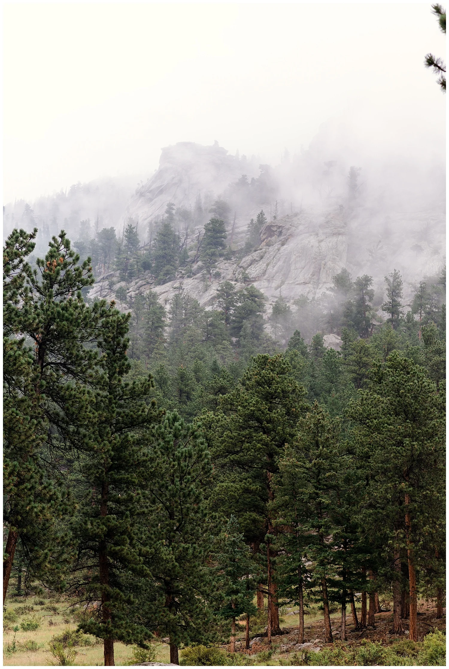 Wedding at Della Terra Mountain Chateau, Estes park wedding, pink wedding, Colorado wedding photographer, rocky mountain wedding photographer, intimate colorado wedding photographer, small wedding photographer colorado,