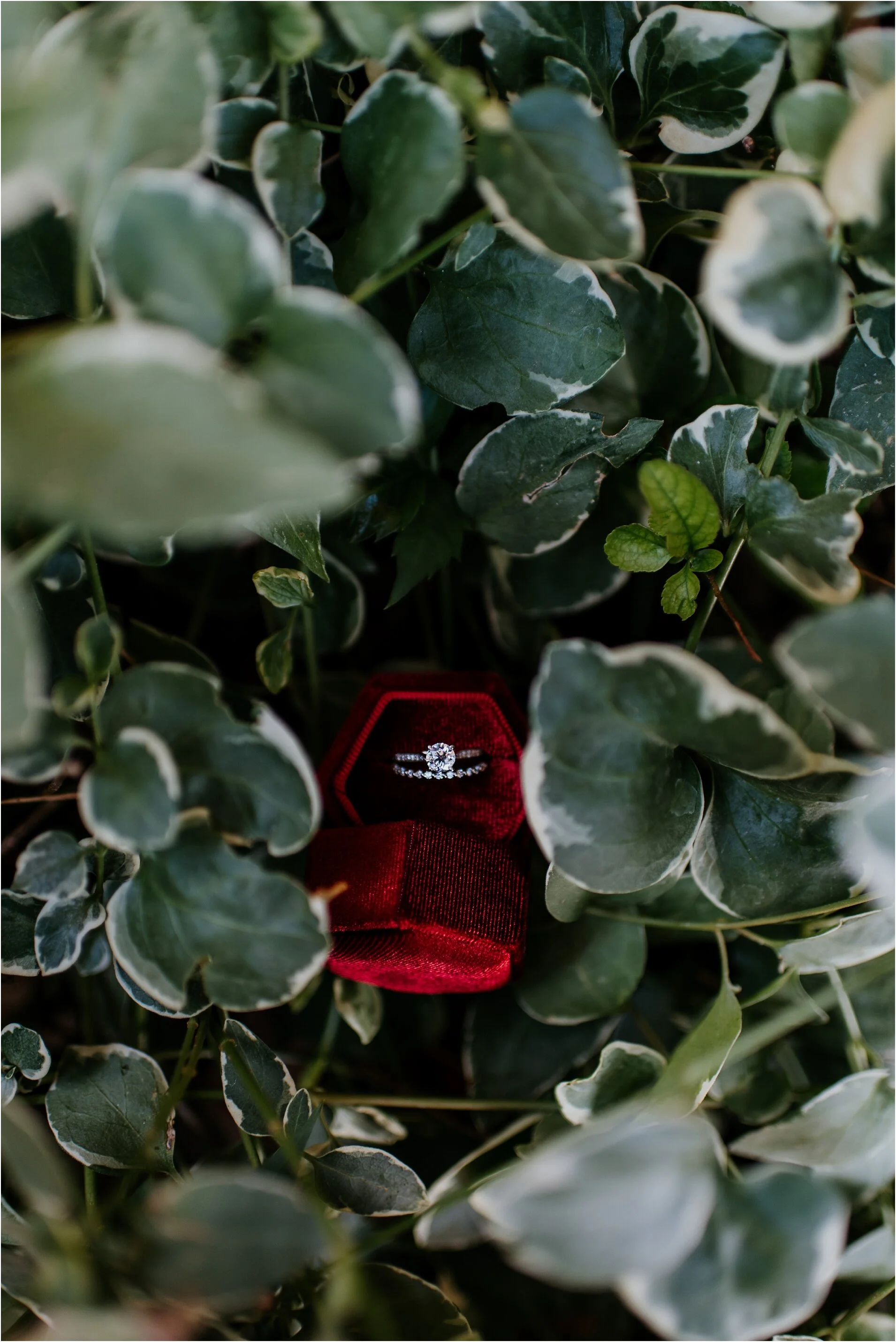 wedding at villa parker, villa parker wedding venue, colorado wedding photographer, colorado elopement photographer, denver wedding photographer, denver engagement photographer, denver wedding photographer and videographer, Colorado wedding photogra…