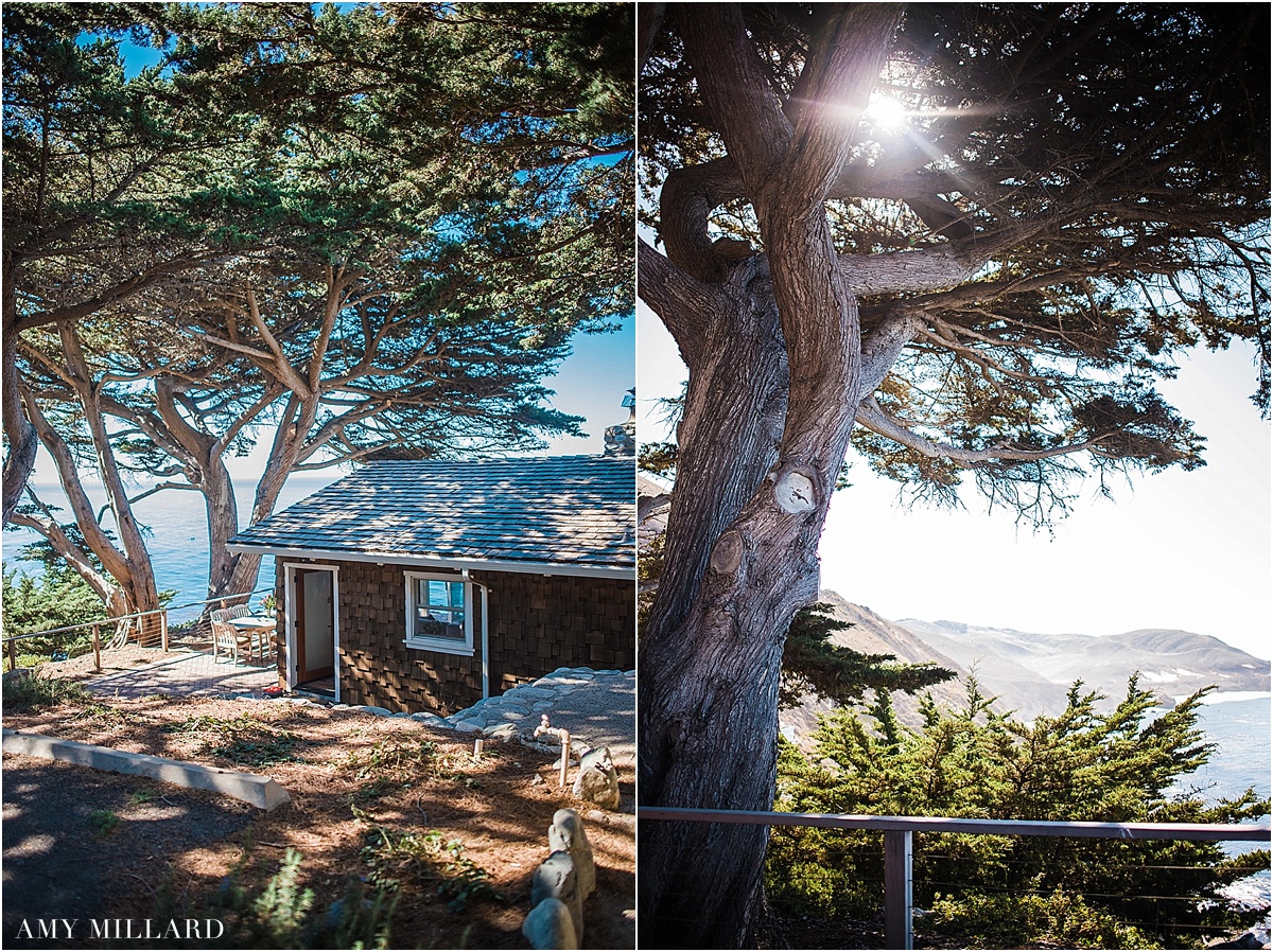 Big Sur Wedding Photographer_0001.jpg