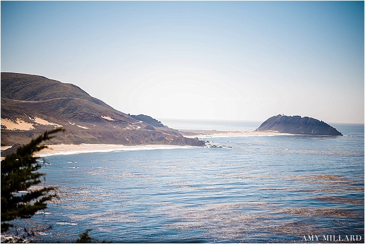 Big Sur Wedding Photographer_0009.jpg