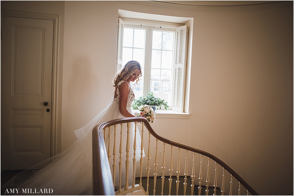 (c) Amy Millard_0248.jpg