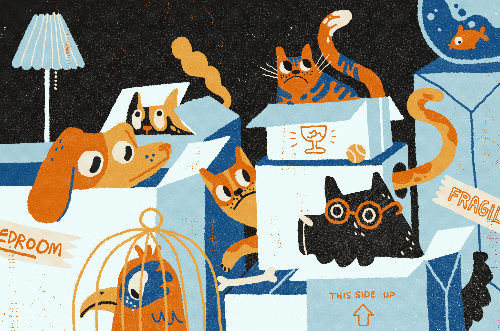 Untitled_Artwork 3.gif