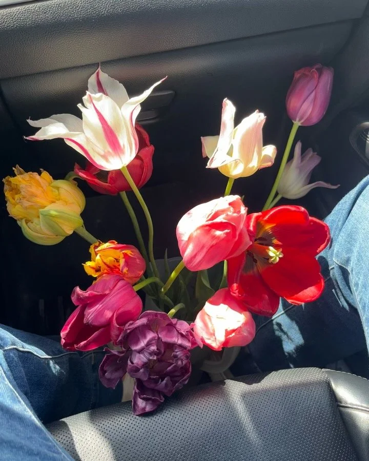 Q2 report🌷🌸