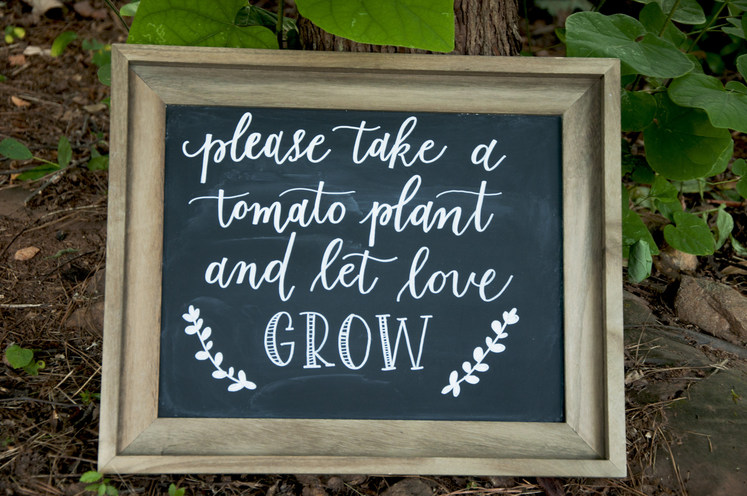 Katie's father wears many hats, one of which is farming. They gave tomato plants as favors to their guests. 