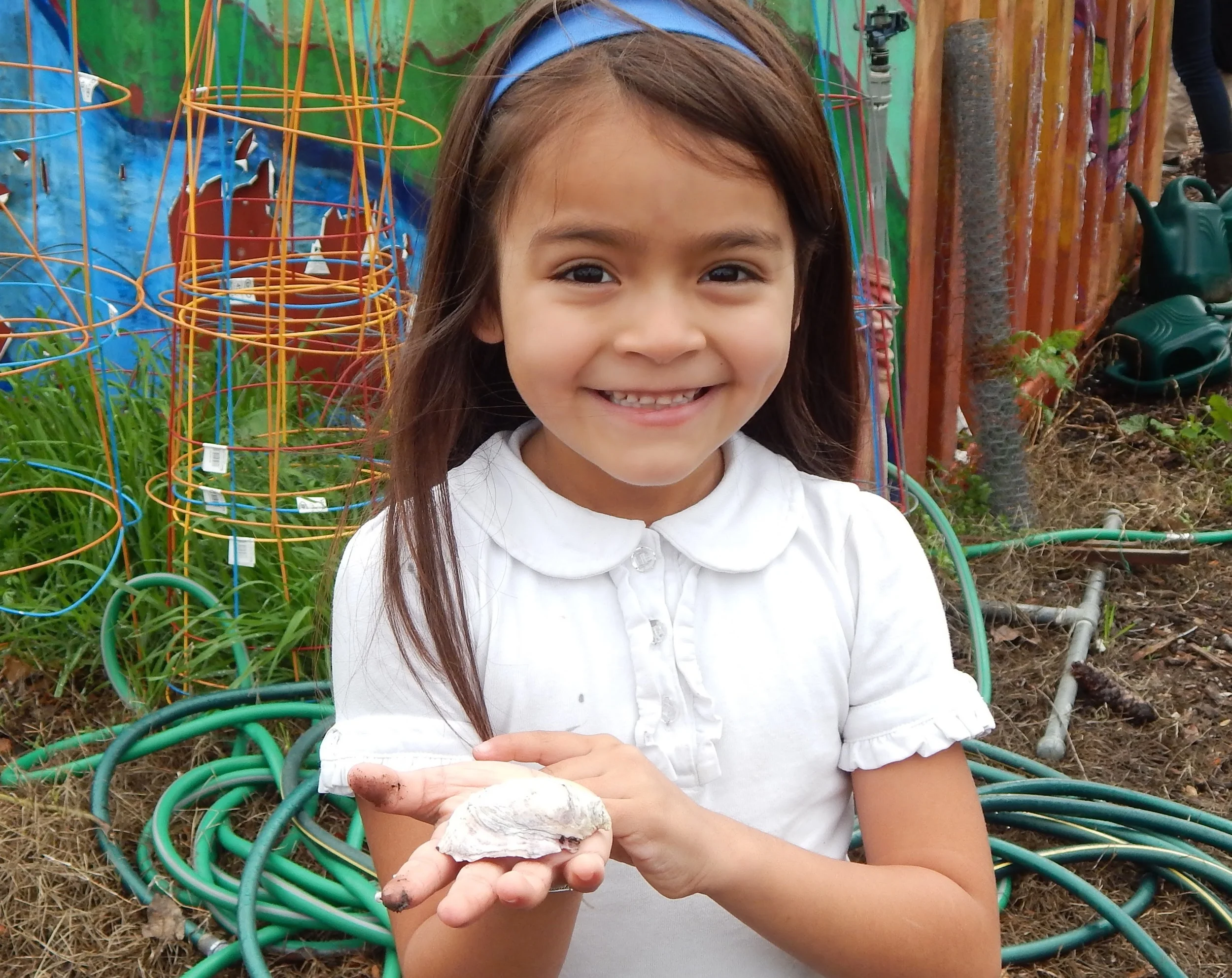 Environmental Volunteers