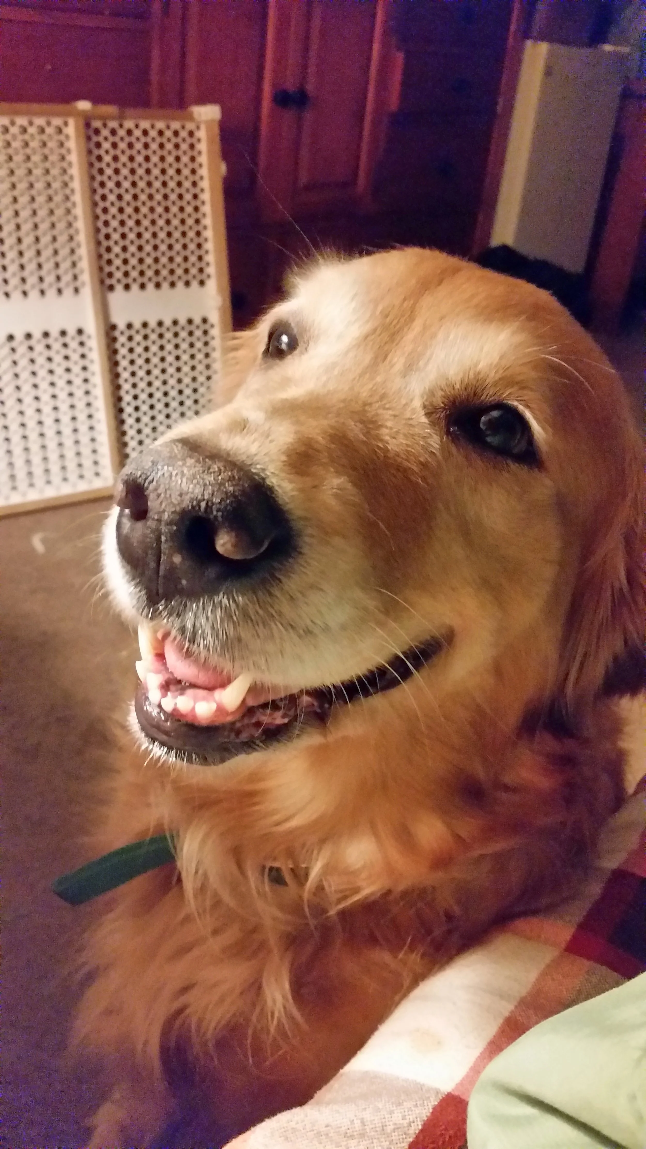 Daphne smiling.jpg