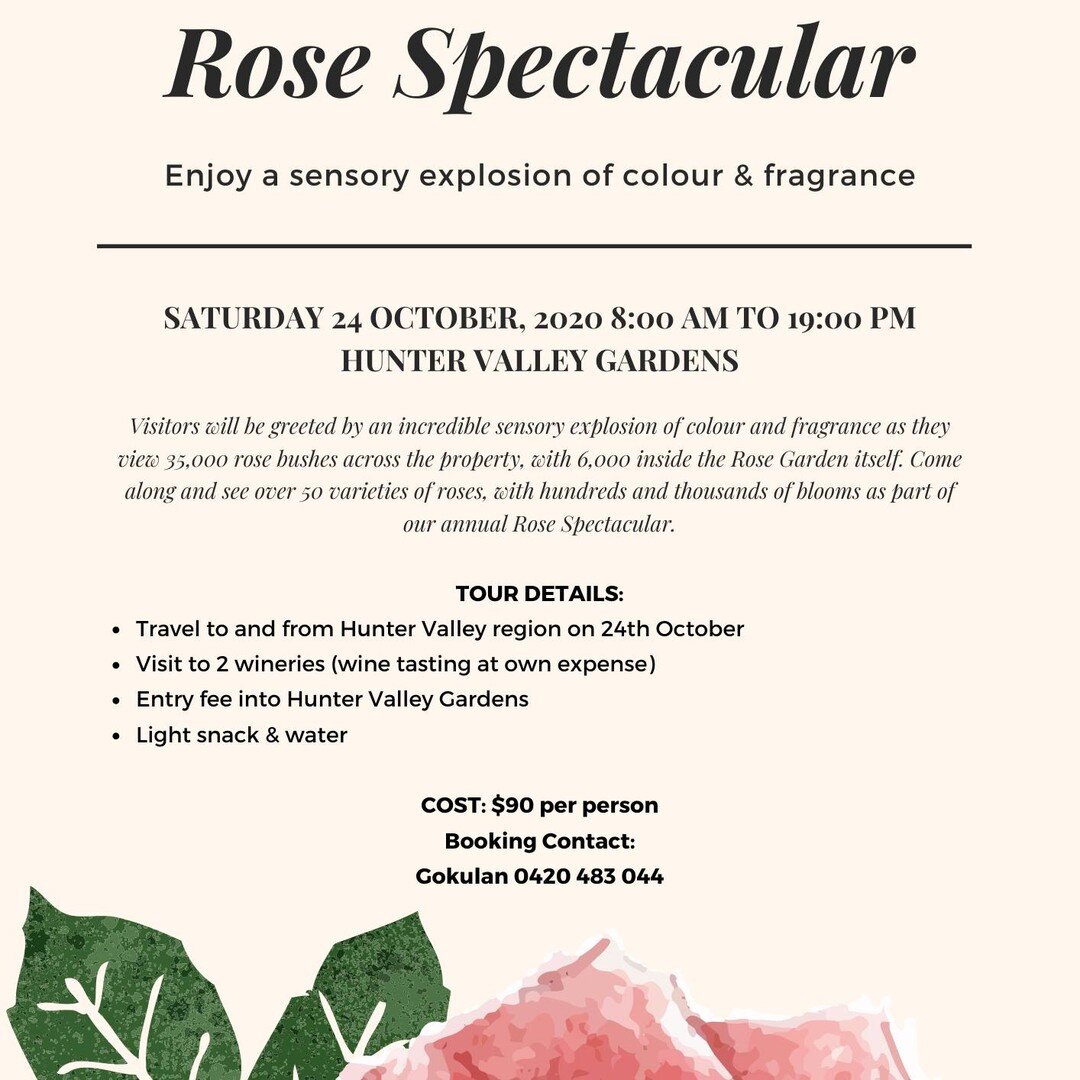 Day Tour to see the 'Rose Spectacular' at Hunter Valley Garden
.
&quot;Visitors will be greeted by an incredible sensory explosion of colour and fragrance as they view 35,000 rose bushes across the property, with 6,000 inside the Rose Garden itself.
