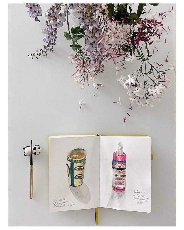 Our Daily Sketch live zoom classes were a huge success last week, thanks for joining or following along in stories!We captured florals, fruit &amp; veggies, other favorite home &amp; desktop items&mdash;  it just feels so great to set aside the hour 