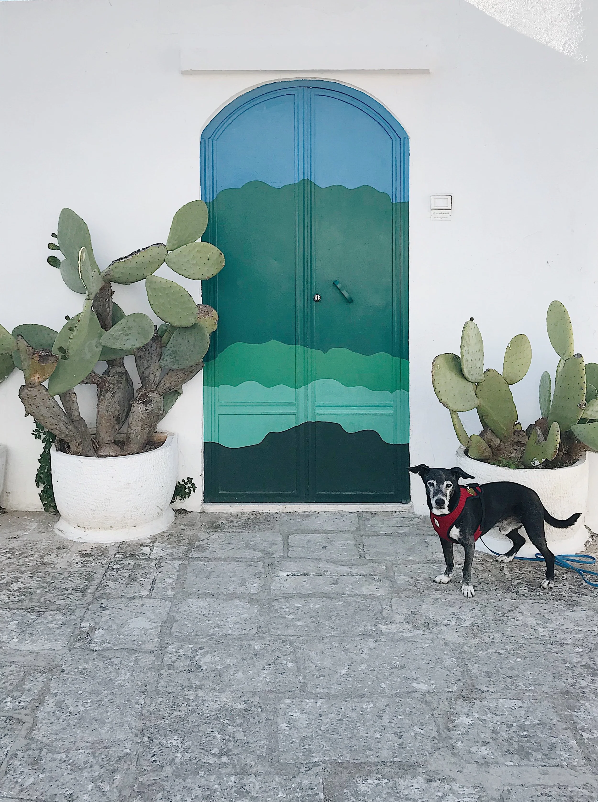 0D54BFCF-4EF0-408B-A24F-45350F9D01D7 2.JPG