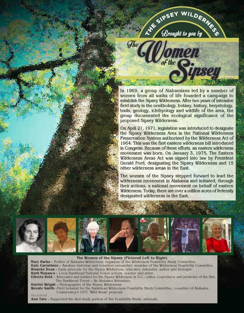 WOTS-posterR5_final-799x1024.jpg