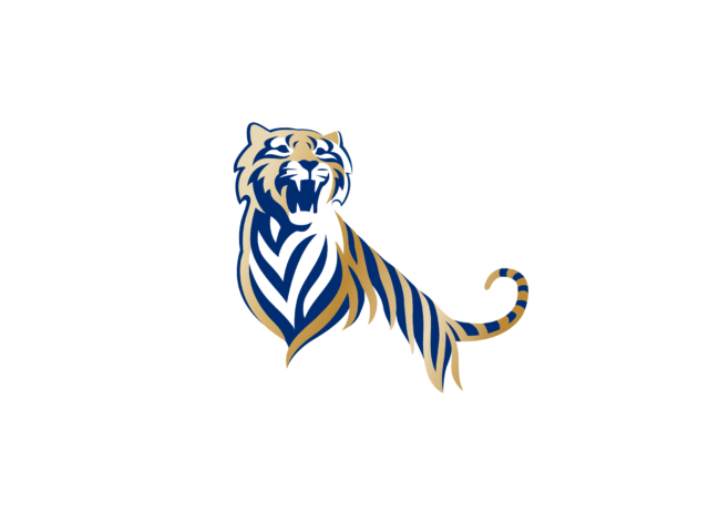Tiger-Beer-logo-2016-640x480.png