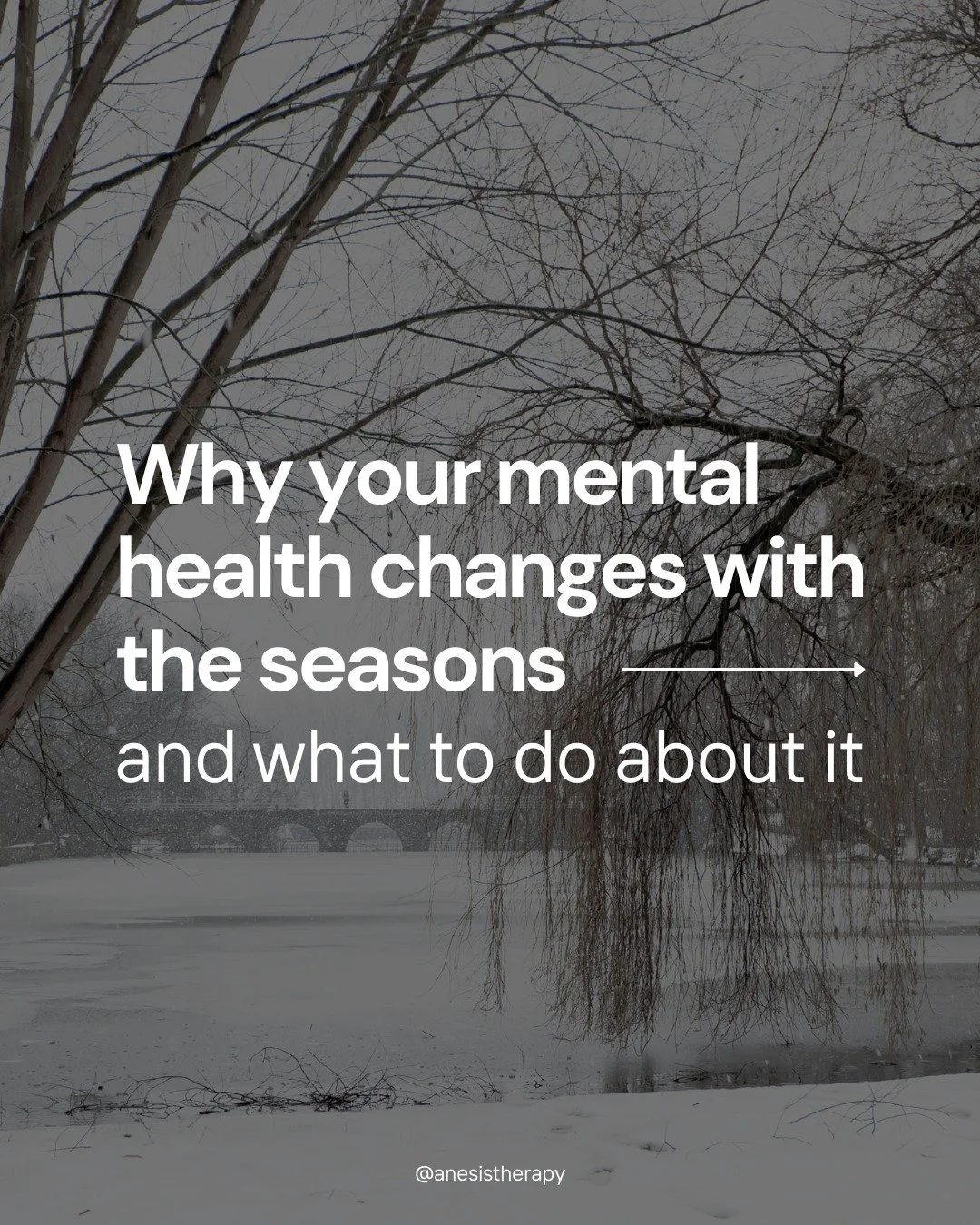 If you've noticed your mental health shifting with the seasons, you're not imagining things. Your brain and nervous system are deeply connected to environmental rhythms that have guided human behavior for thousands of years.
Modern approaches to men