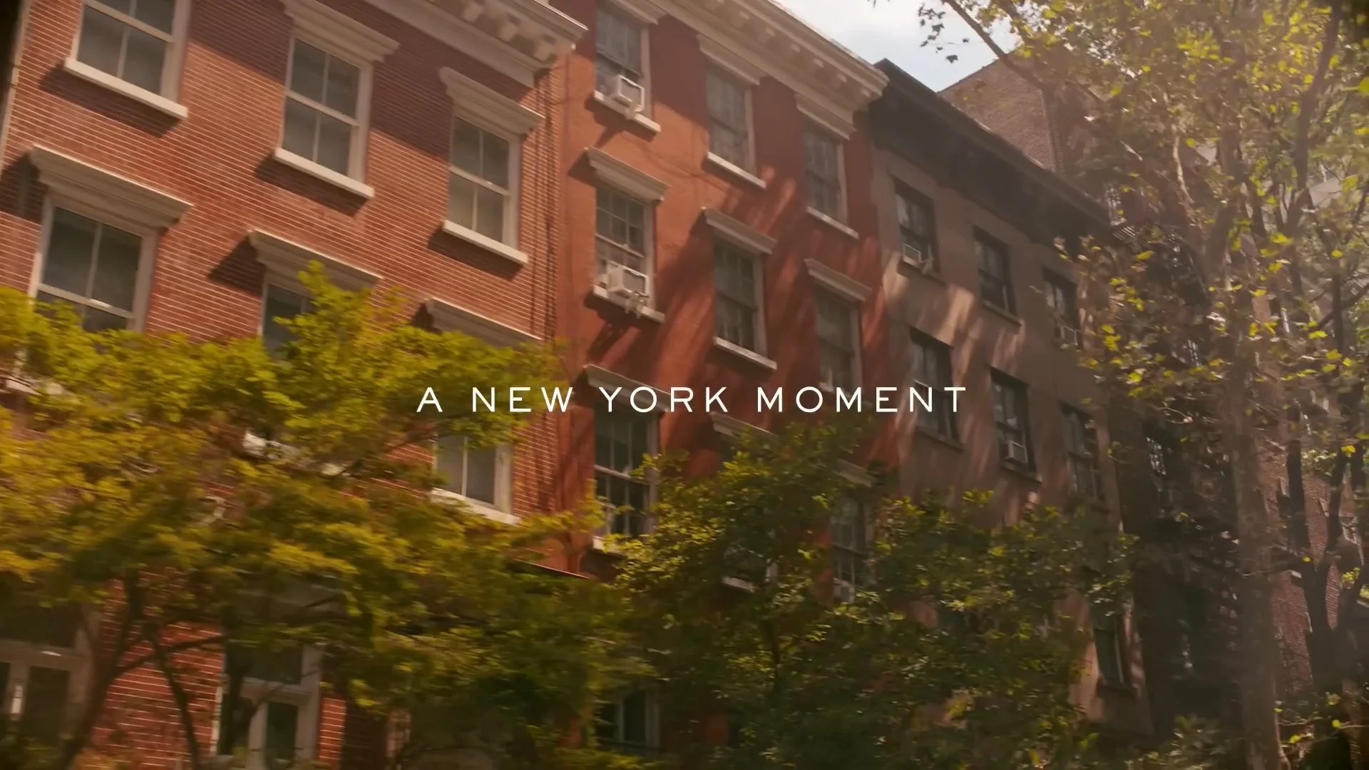 Still 2026-01-07 145501_1.1.1.jpg