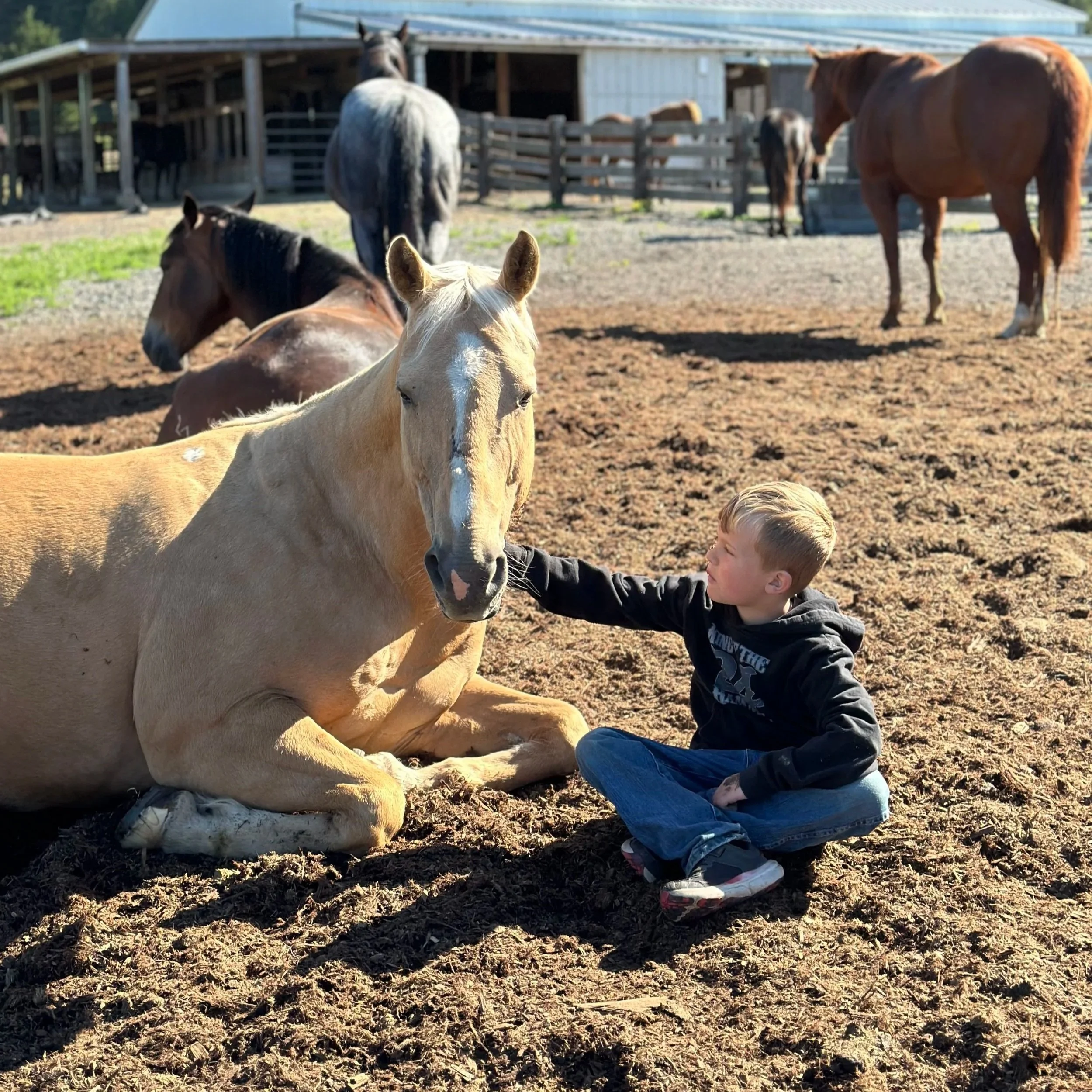 IMG_2347 (1) (1).jpg