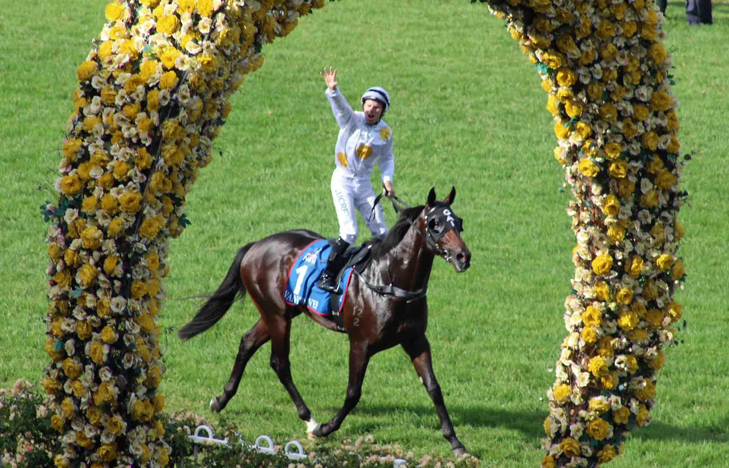 GOLDEN SLIPPER LIVE WITH TAB