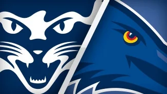 CATS V CROWS