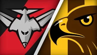 HAWTHORN V ESSENDON