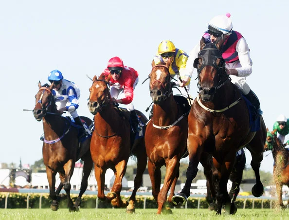 Melbourne Cup at The Rising Sun Hotel
