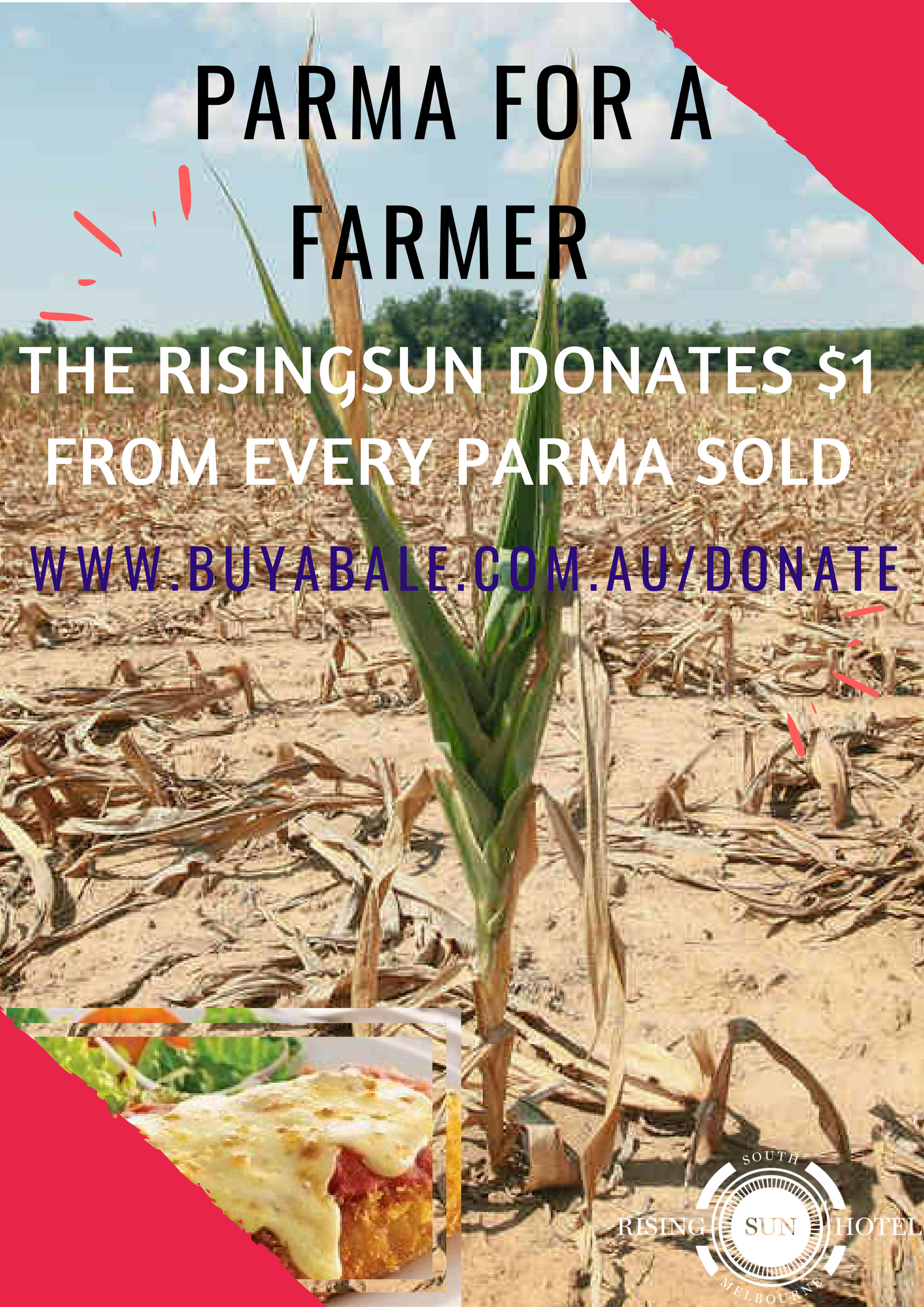 Parma For A Farmer