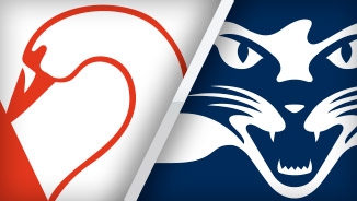 Swans Vs Cats