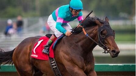 Saturday Racing