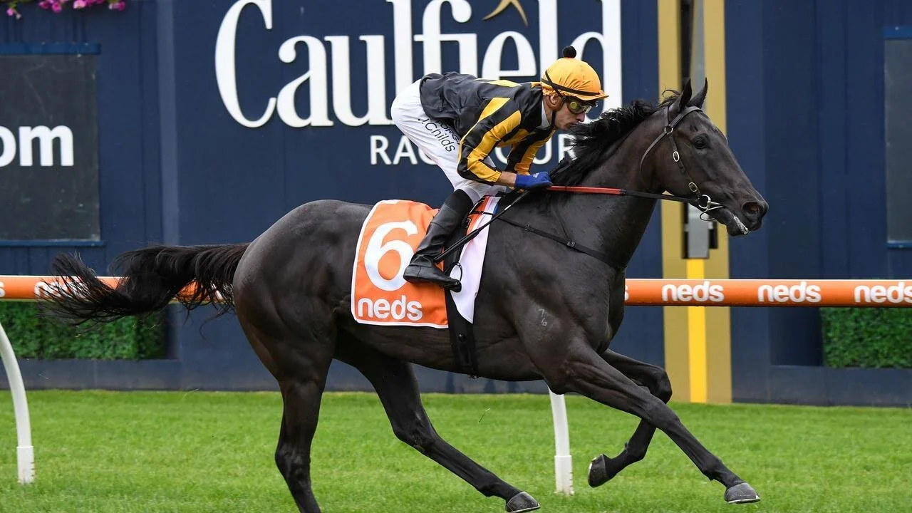 Have a Bet at the Tab/It's Race Day.