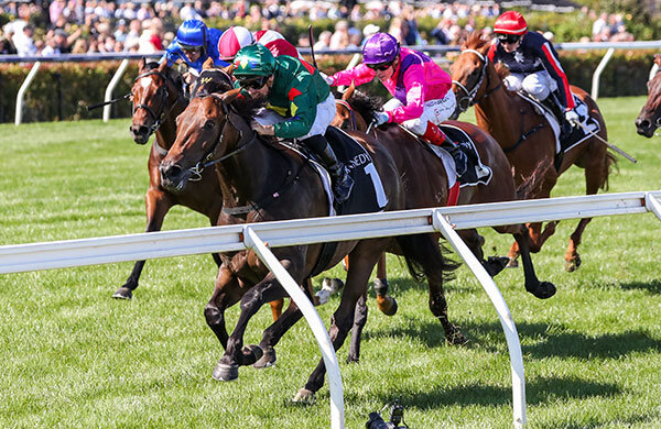 Races/TAB/Socialising. It's all happening on Race Day.