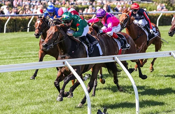 RACES AT THE RISER!