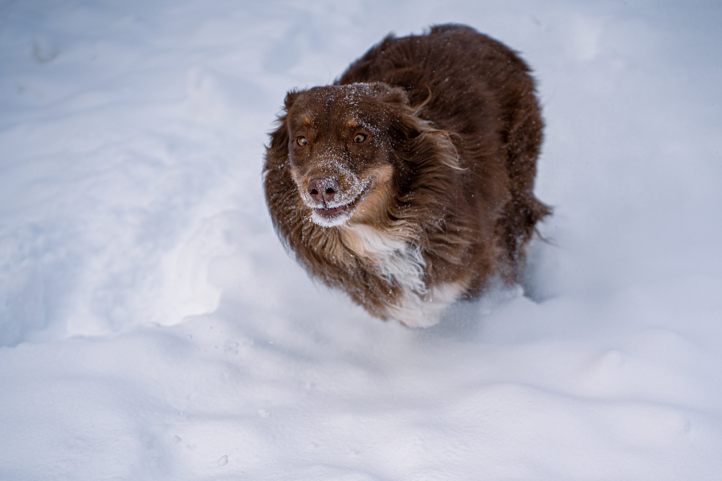 snow day