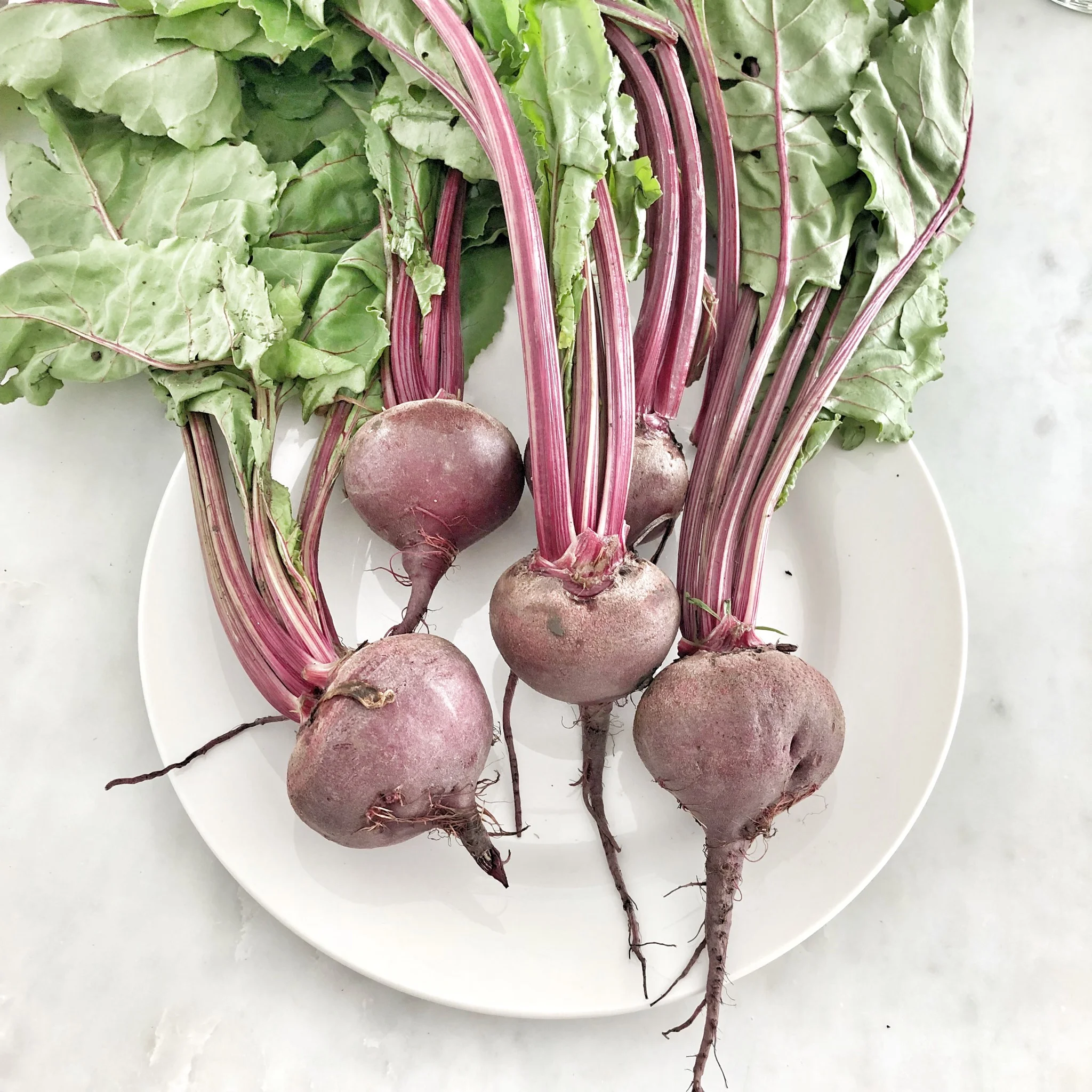 beets.jpg