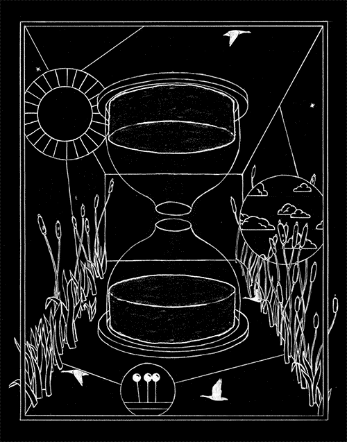 hourglass reverse.gif