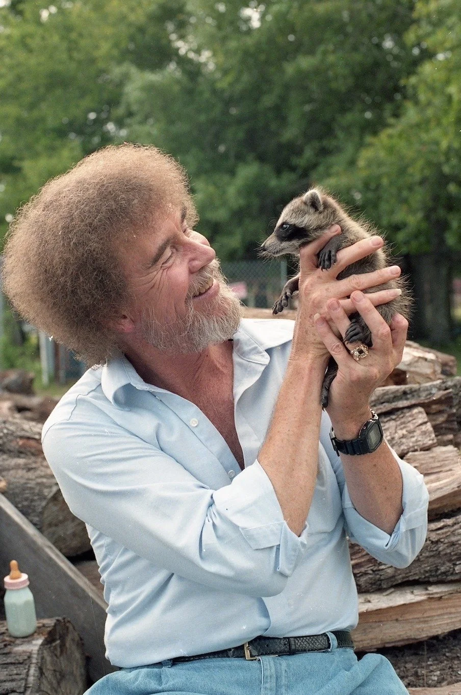 Bob Ross Raccoon.jpg