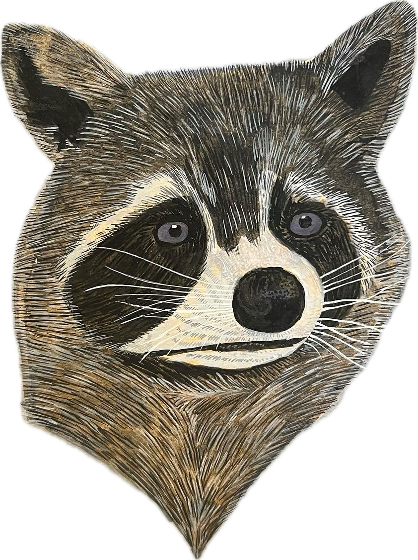 Raccoon Face.png