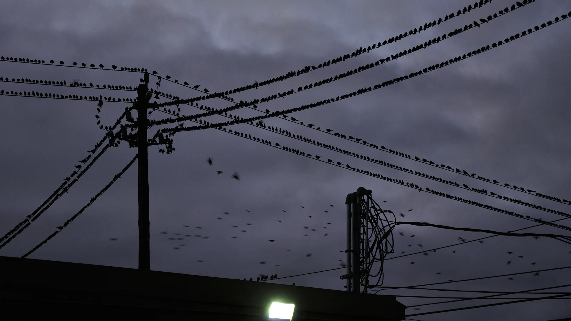 My Photographia_218_ Sumit2016.JPG