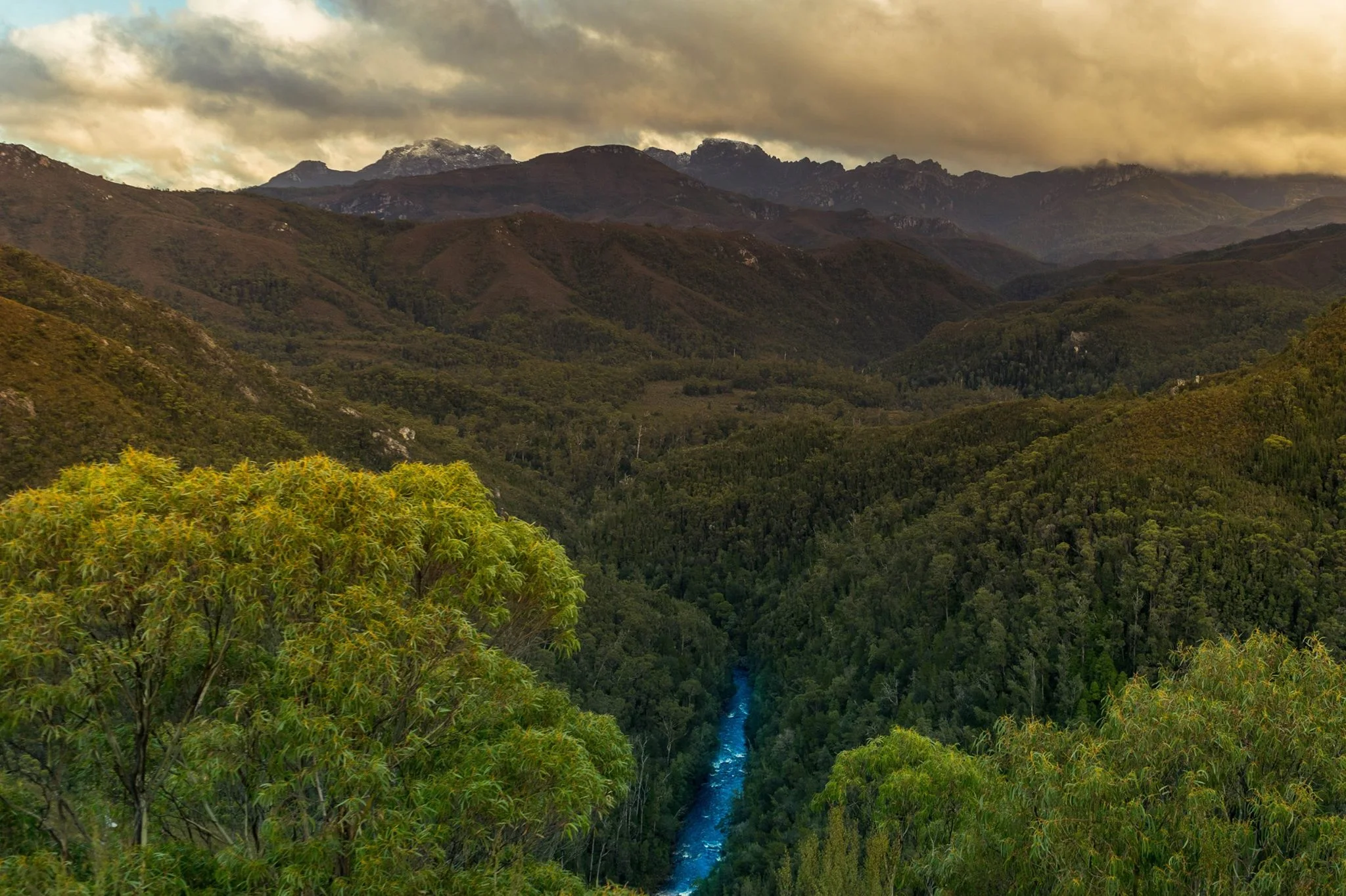 Another beautiful track that you should not miss. Once you reach to the peak of Frenchmans Cap, you will see the the iconic Franklin River going through down the valley.